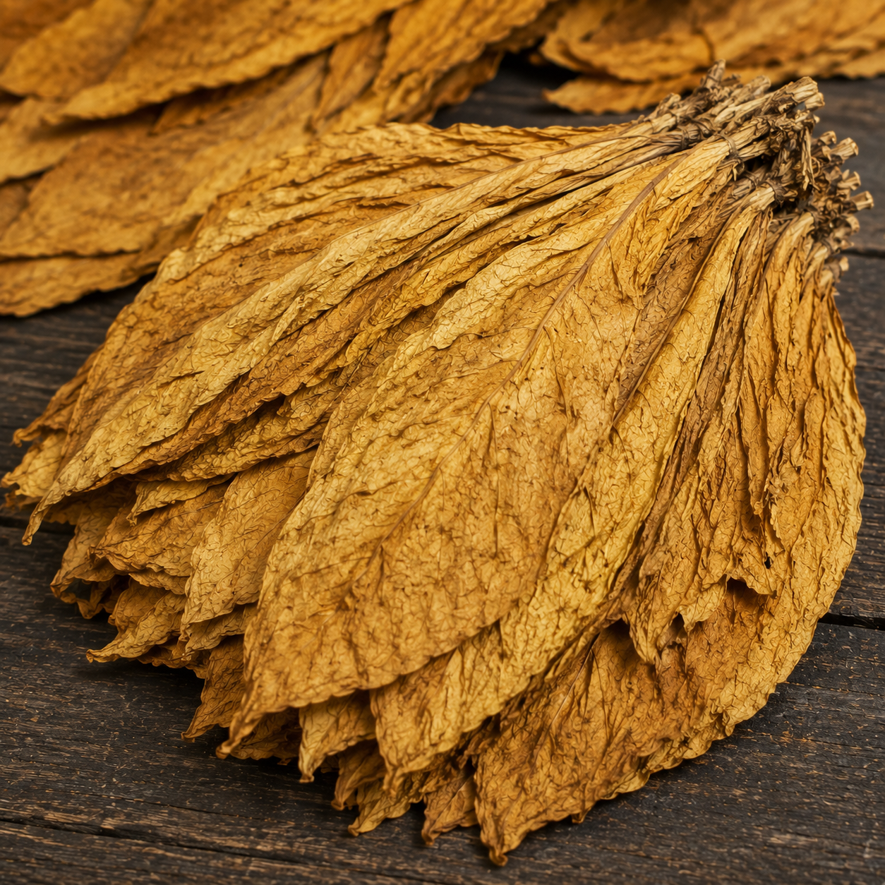 Raw Tobacco Leaf - Kailash Global Impex